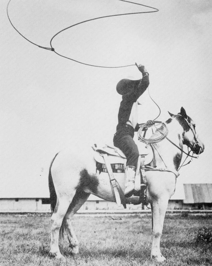 Bode