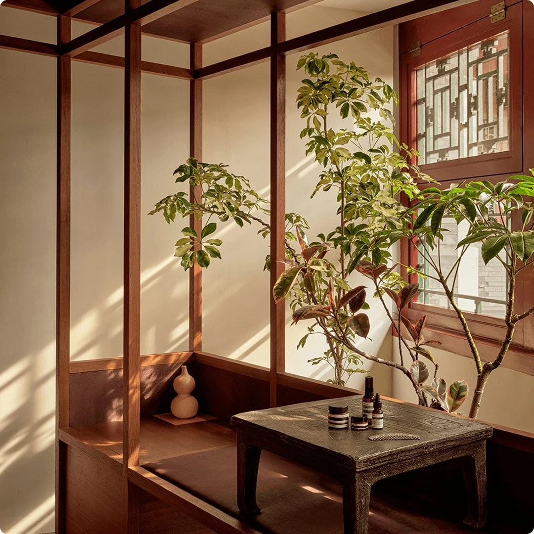 Image officielle Aesop : produits de soin sur une table avec une plante