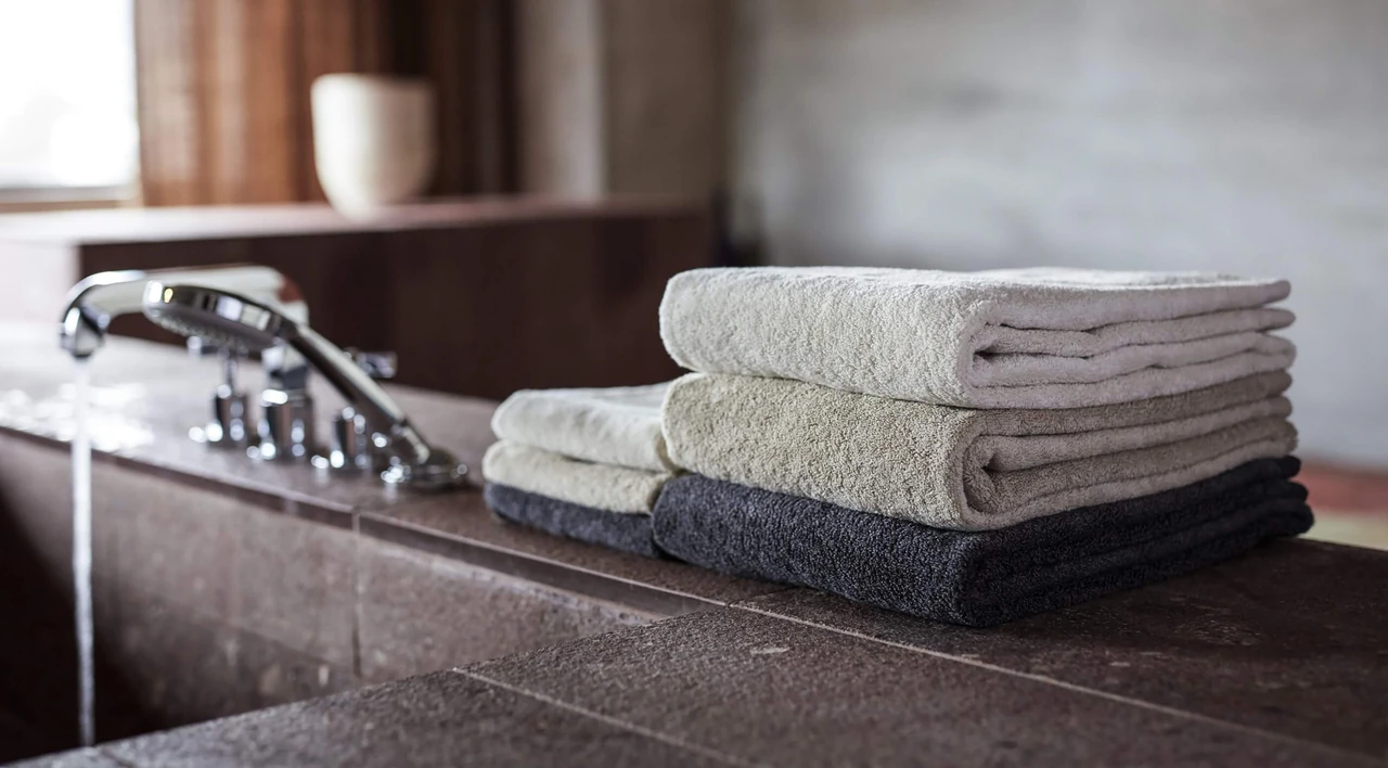 IKEUCHI ORGANIC · official brand imagery