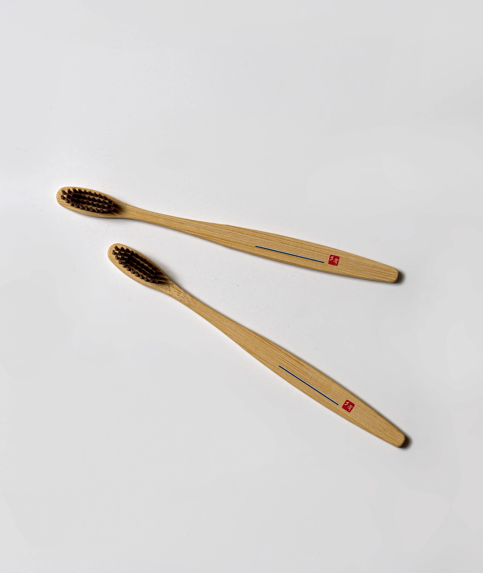 Intention Toothbrush 2-Pack · official OJOOK photograph