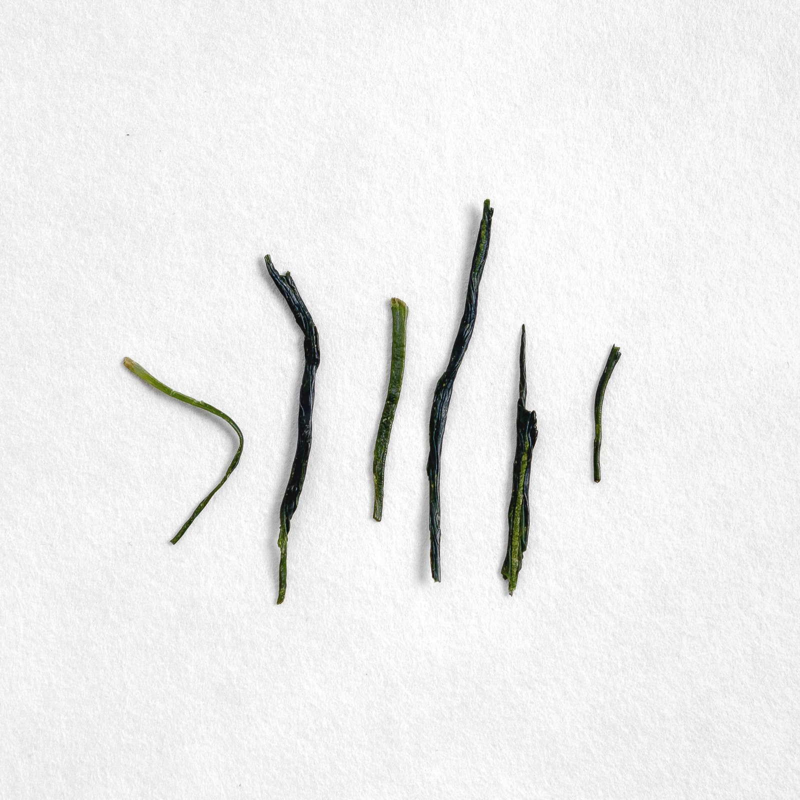 Yabukita Kabuse Sencha — 50 g official product image