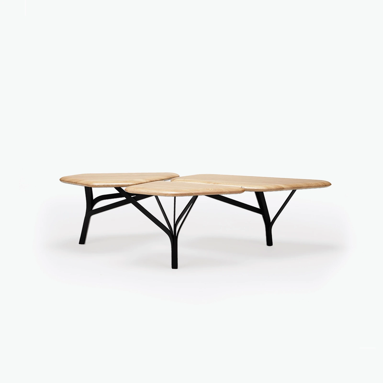 Borghese Coffee Table — Natural Oak and Black Steel official product image