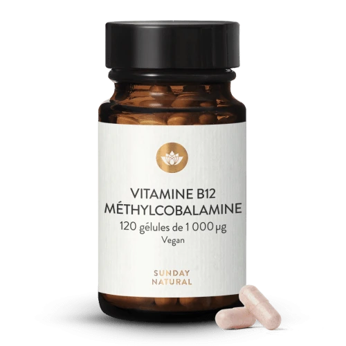 Vitamine B12 Méthylcobalamine 1 000 µg — 120 Capsules official product image