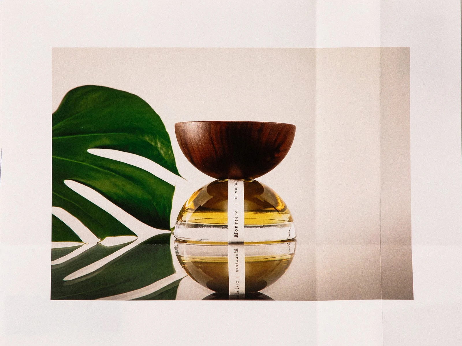 Monstera No. 4 — 50 ml official product image