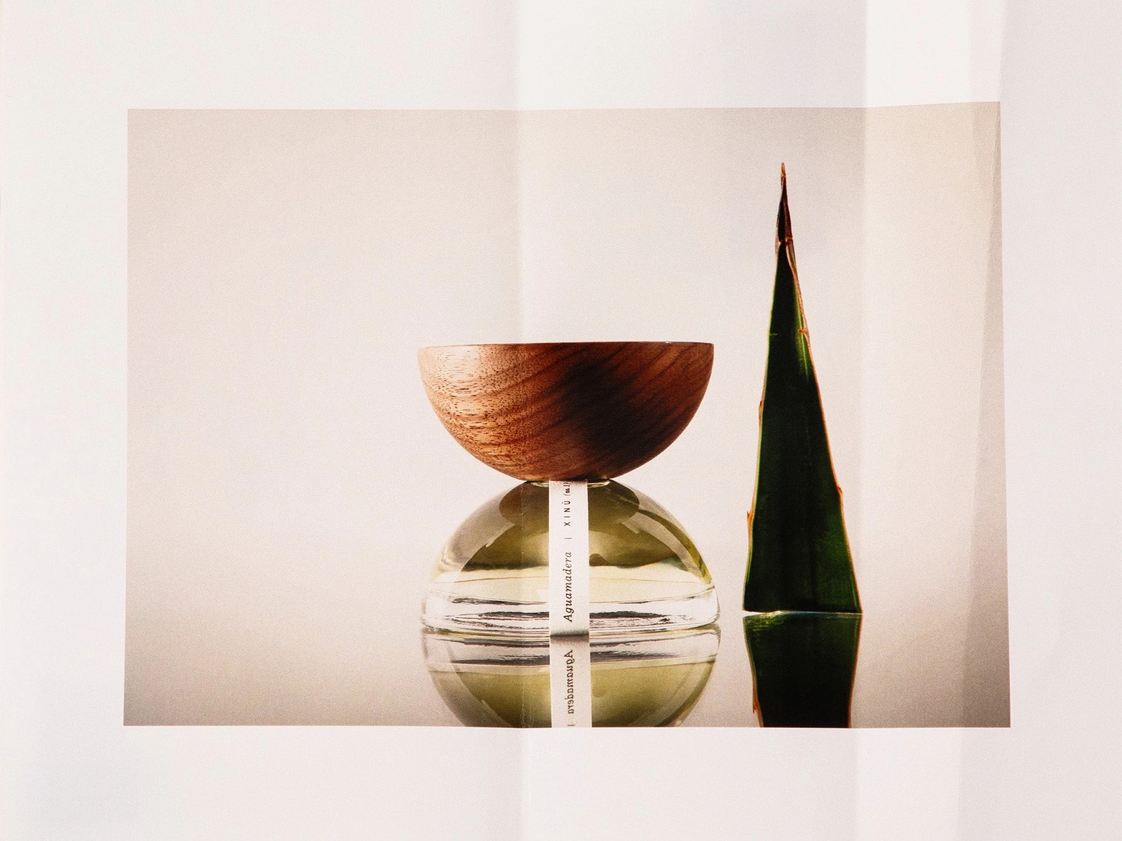 Aguamadera No. 1 — 50 ml · official XINÚ photograph