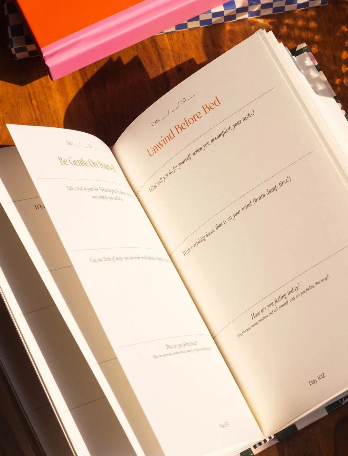 Serenity Wellness Journal · photographie officielle Odd Giraffe