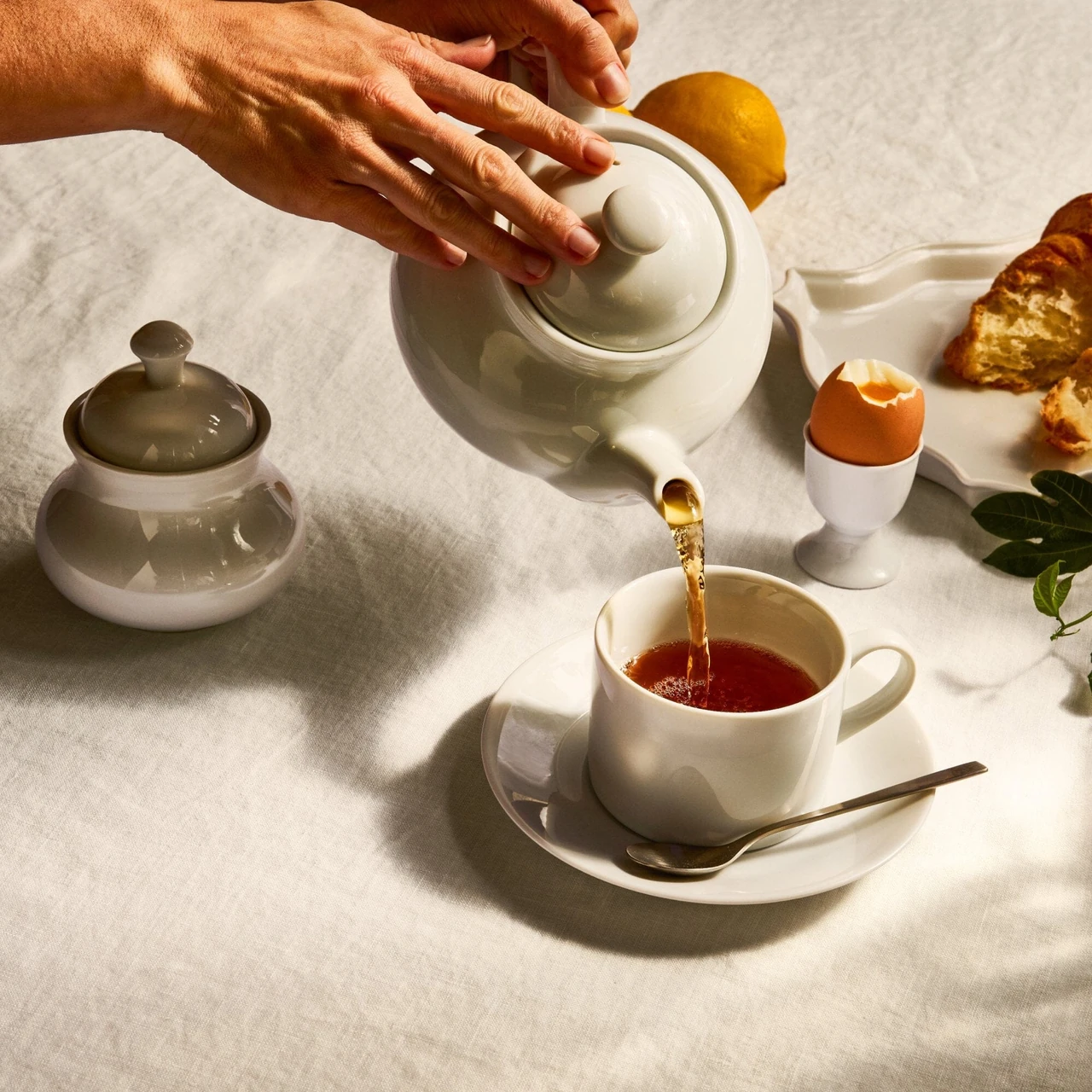 Rishi Tea & Botanicals · official brand imagery