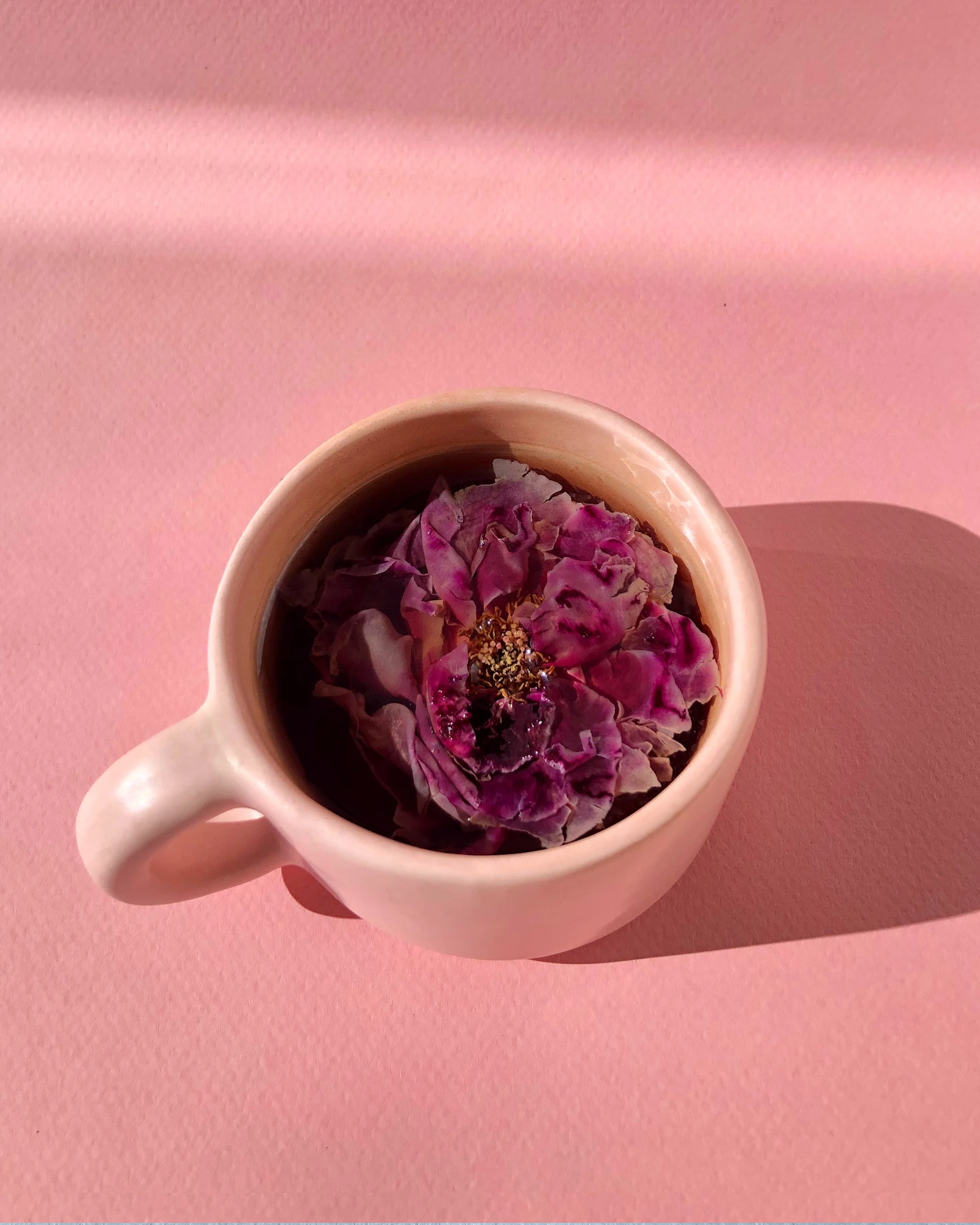 Shangri-la Rose · 9 Flower Packets · official The Qi photograph