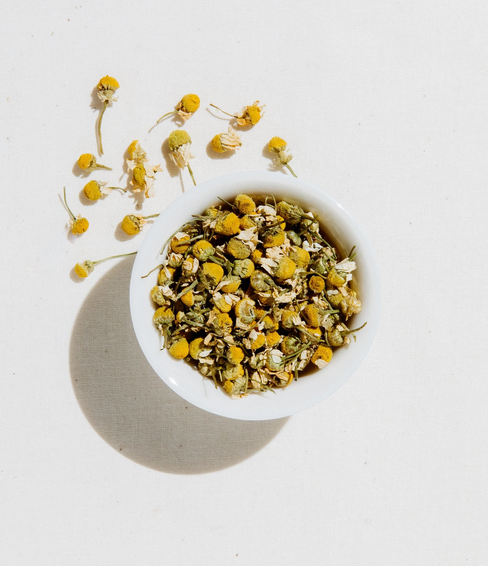 Egyptian Chamomile — bolsa con cierre de 4 oz · fotografía oficial Art of Tea