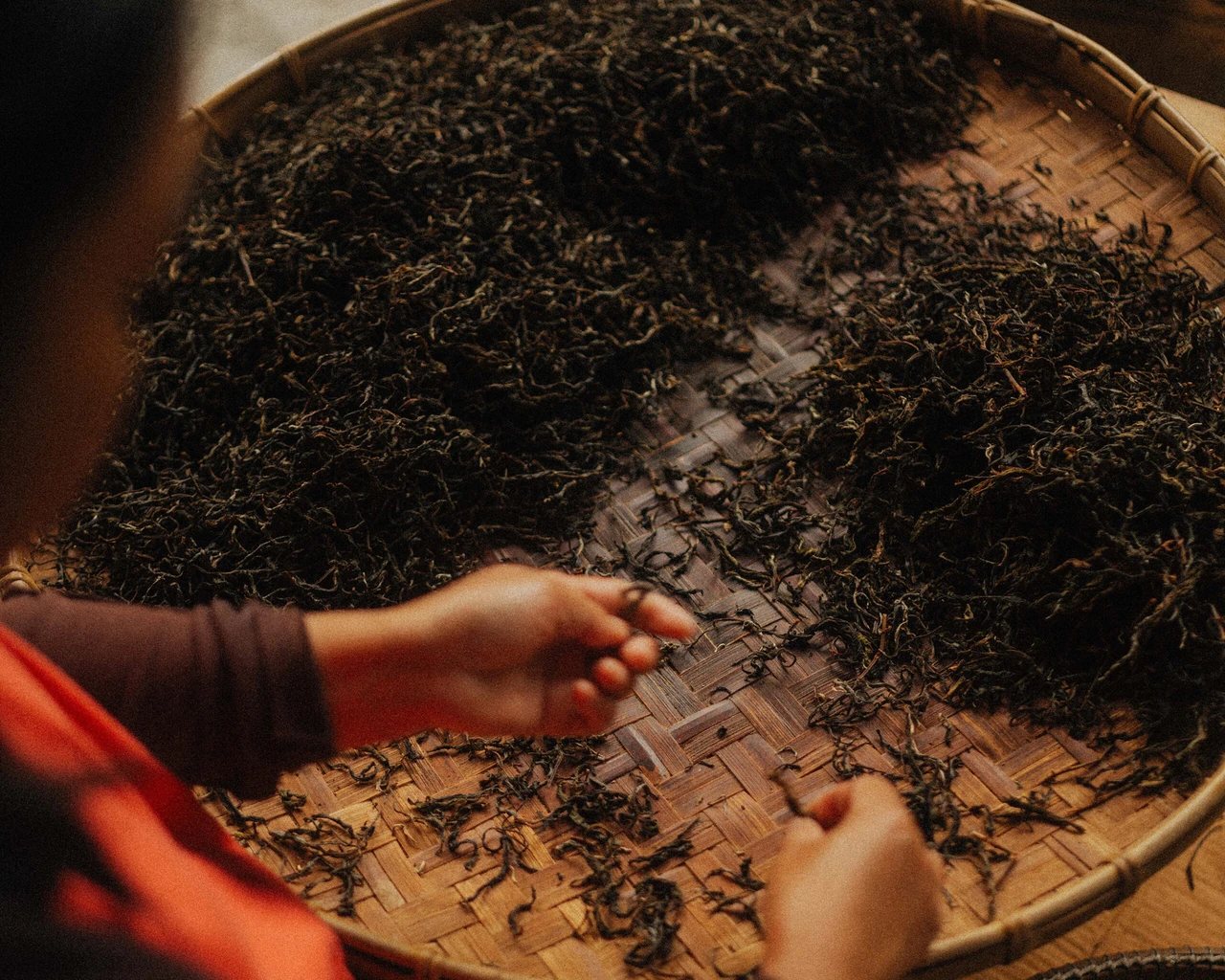 Monsoon Tea · official brand imagery